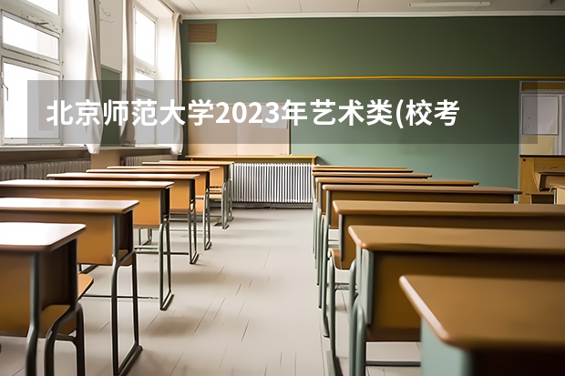 北京师范大学2023年艺术类(校考)各专业录取综合成绩最低分
